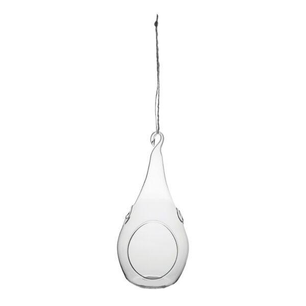 Large Teardrop Hanging Terrarium