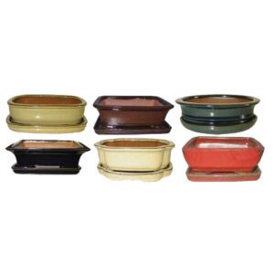 Bonsai Pot W/ Separate Saucer 8" Asst