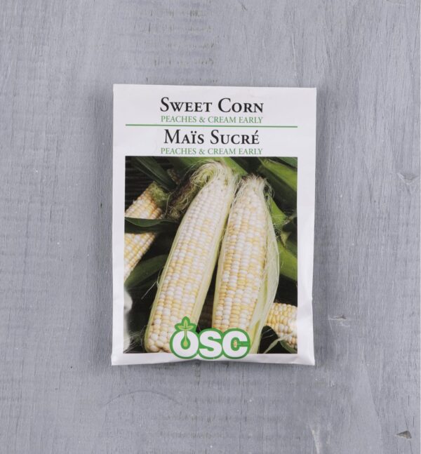Large Corn Seed Packet (large)
