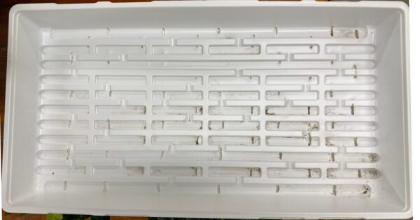 Plastic Plant Tray For Seed Starter with holes