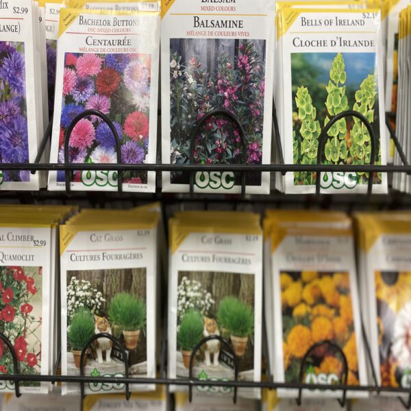 Flower Seed Packets (medium)