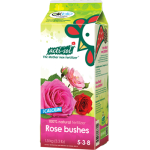 Acti- 80L Rose Bush