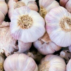 Garlic  Bulbs 4bulbs/pkg