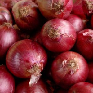 Onion Red Set 75 Bulbs/pkg
