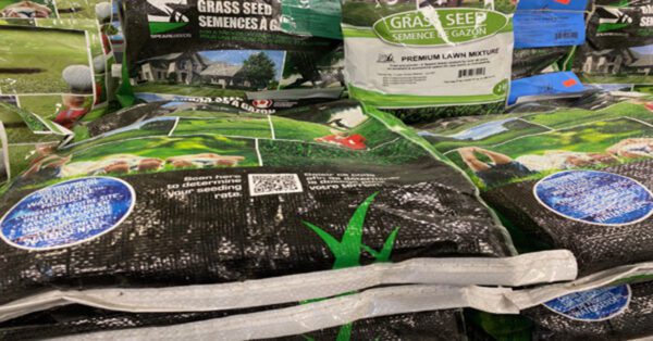 Grass seed-PRE-PACK BAGS-2Kg(overseeding mixture)
