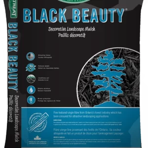 Black Beauty