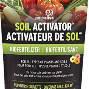 EARTH ALIVE SOIL ACTIVATOR BIOFERTILIZER 425G