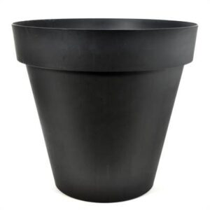Econova - 22cm Capri Black [15/B]
