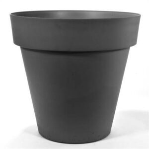 Econova - 22cm Capri Charcoal [15/B]