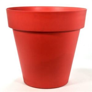 Econova - 22cm Capri Red [15/B]