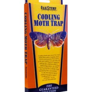Oak Stump Codling Month Traps