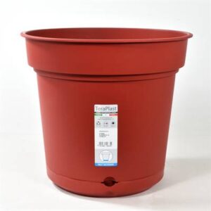 Teraplast - 33cm Hydral Scarlet [10/B]