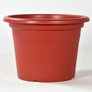 Teraplast - 40cm Cilindro Scarlet [10/B]