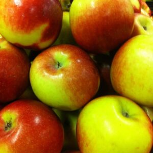 Apple x 'Empire'
