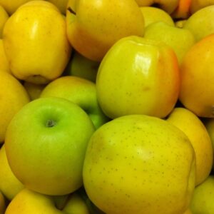 Apple x 'Golden Delicious'