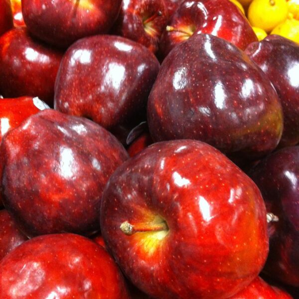 Apple x 'Red Delicious'