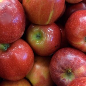 Apple x 'Spartan'