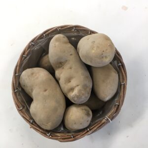 Seed Potato / 6LB Bag