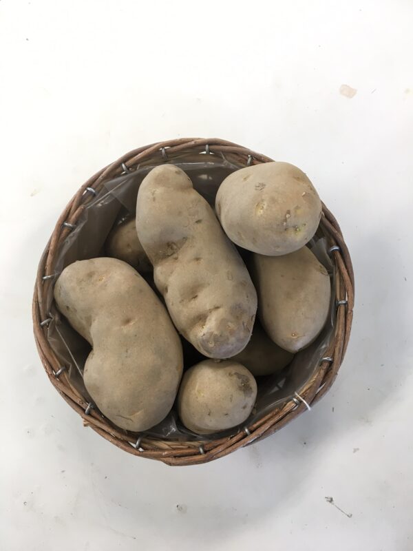 Seed Potato / 6LB Bag