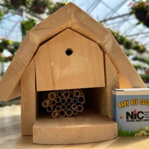 Solitary bee house