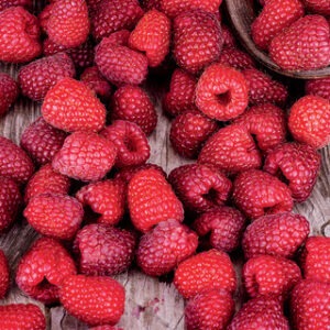 Latham Raspberry