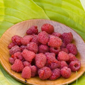 Raspberry x 'Heritage'